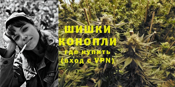Альфа ПВП Вязьма
