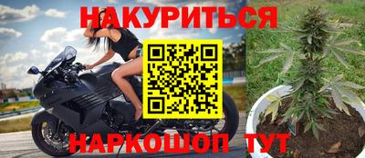 шишки Апшеронск