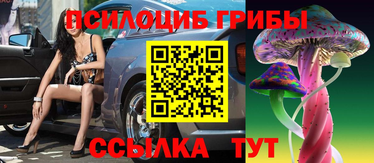 Галлюциногенные грибы GOLDEN TEACHER  Наро-Фоминск  Псилоцибиновые грибы GOLDEN TEACHER 