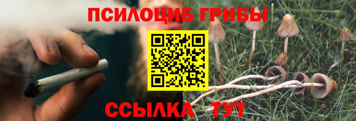 Псилоцибиновые грибы прущие грибы Наро-Фоминск