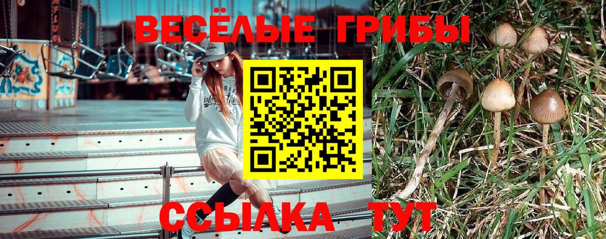 Псилоцибиновые грибы прущие грибы Наро-Фоминск